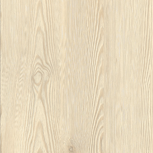 Лиственница светлая